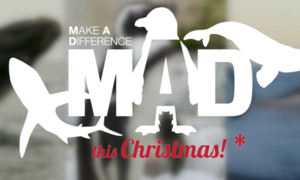 Make A Difference This Christmas